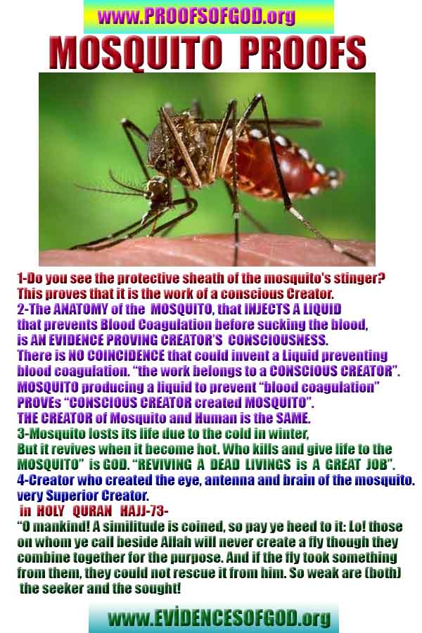 proofs of god, evidences of god, evidences-god, god exists, god is real