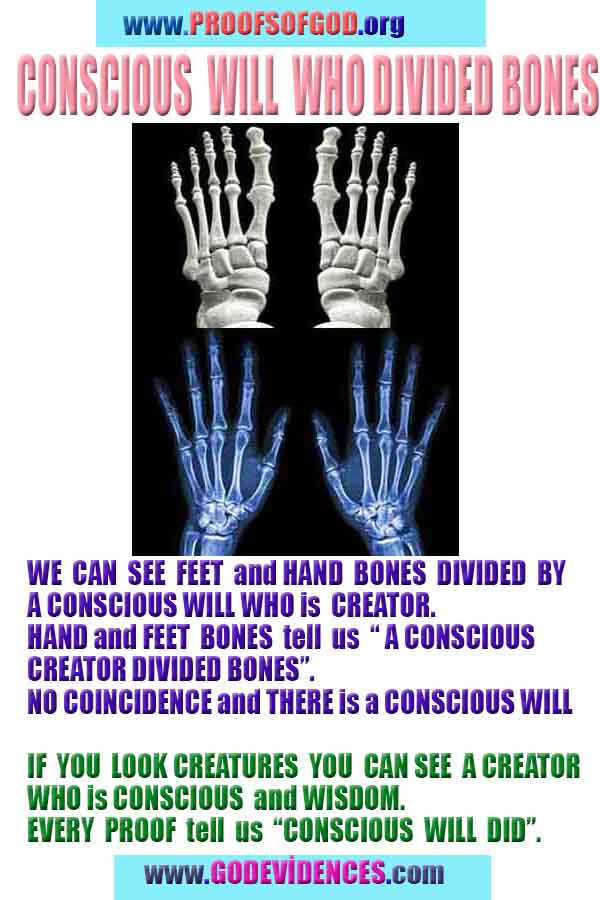 proofs of god, proofs-god, proofs god, evidences of god, evidences-god, god exists, god is real