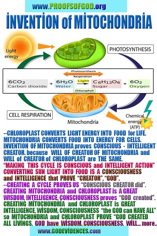 proofs of god, proofs-god, evidences of god, evidences-god, god exists, god is real, signs of god