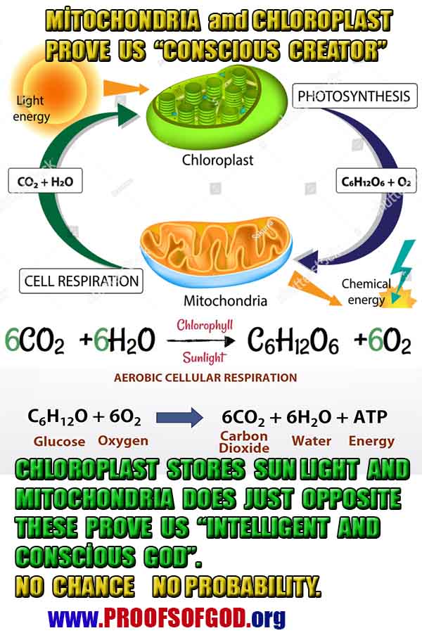 scientific proofs of god, proofs-god, evidences of god, evidences-god
