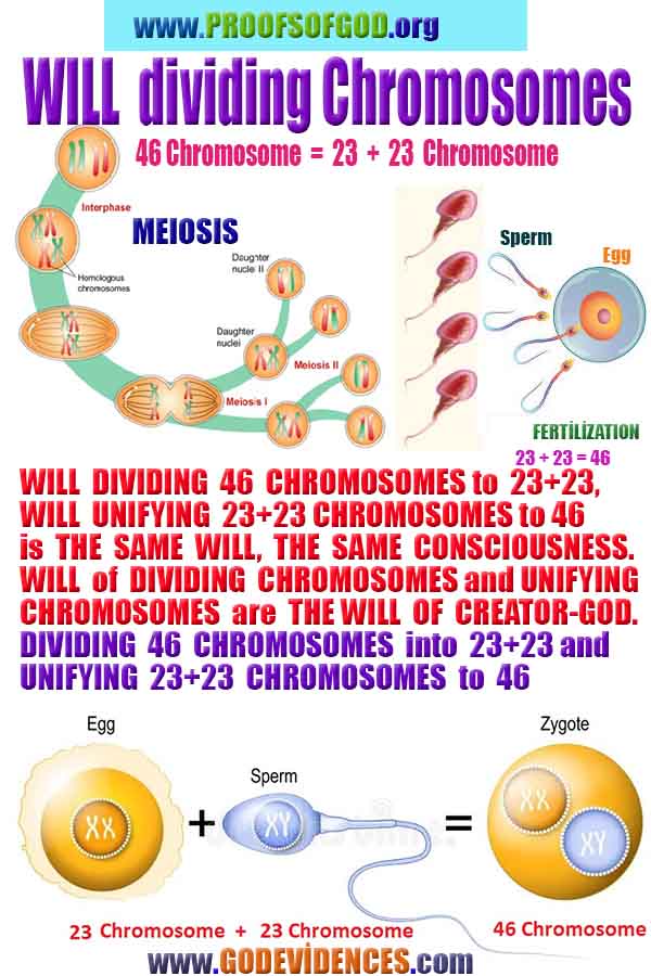 proofs of god, proofs-god, proofs god, evidences of god, evidences-god