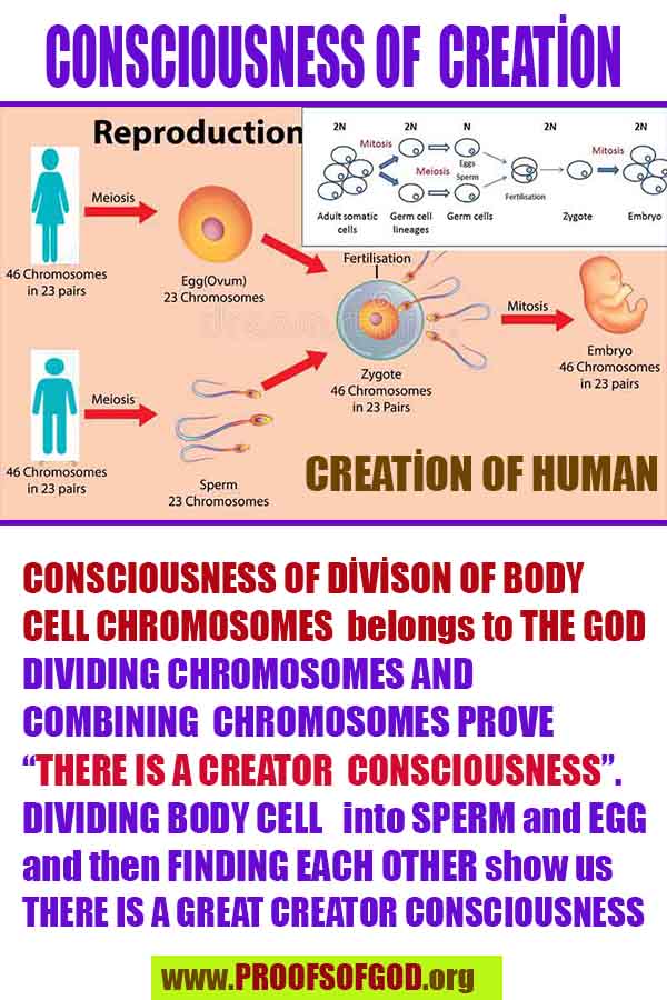 scientific proofs of god, proofs-god, evidences of god, evidences-god, god exists, god is real, signs of god