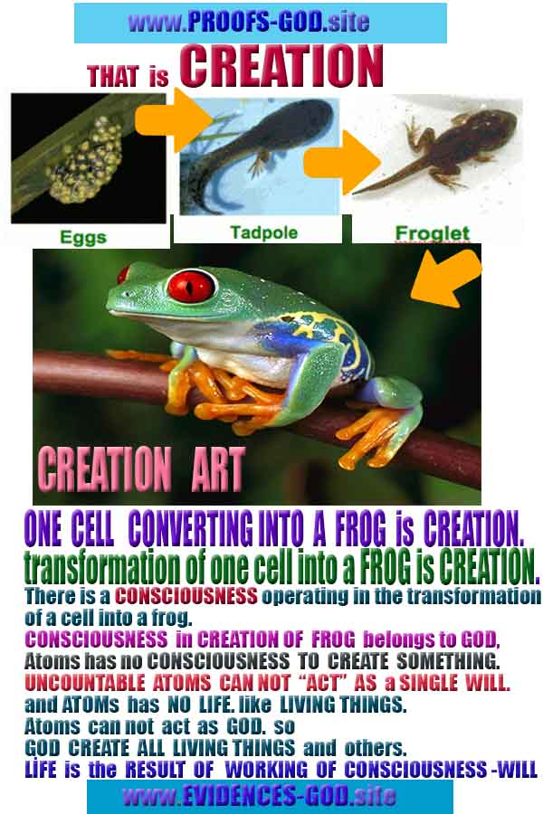 proofs of god, proofs-god, proofs god, evidences of god, evidences-god, god exists, god is real