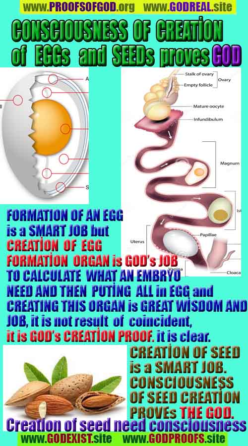 scientific proofs of god, proofs-god, evidences of god, evidences-god