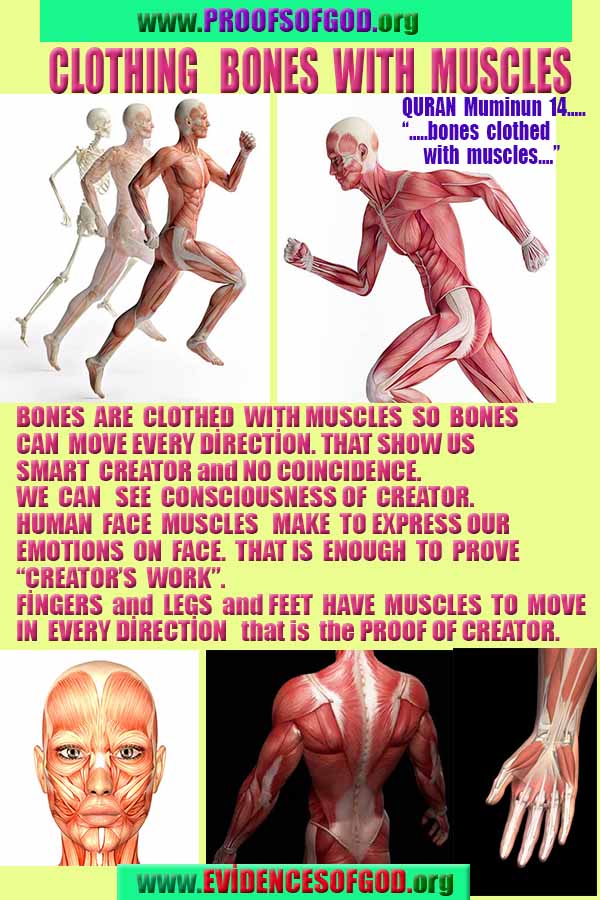 proofs of god, proofs-god, proofs god, evidences of god, evidences-god