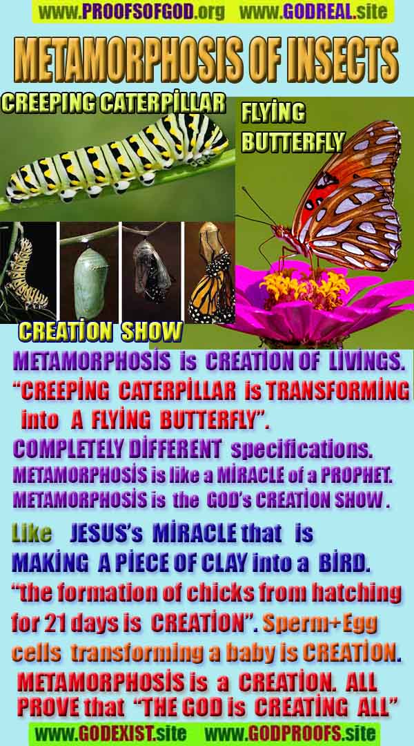 proofs of god, proofs-god, evidences of god, evidences-god, god exists proofs