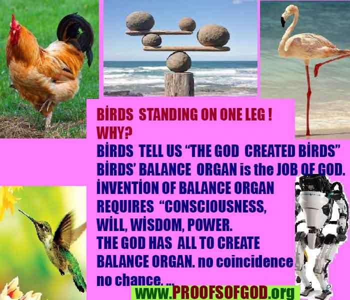 scientific proofs of god, proofs-god, evidences of god, evidences-god