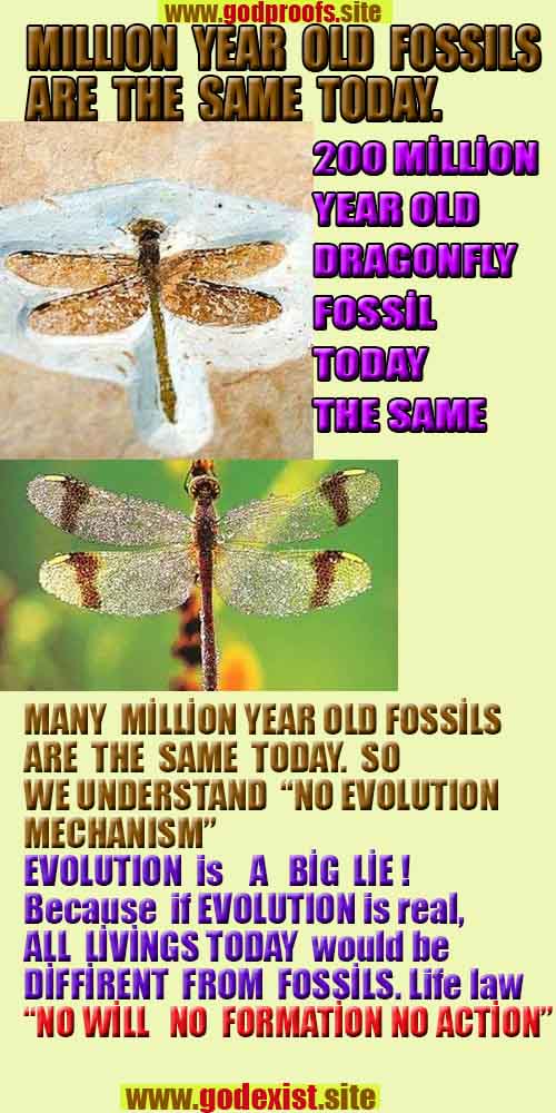 proofs of god, proofs-god, evidences of god, evidences-god, god exists, god is real, signs of god