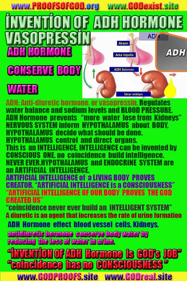 proofs of god, evidences of god, evidences-god, god exists, god is real