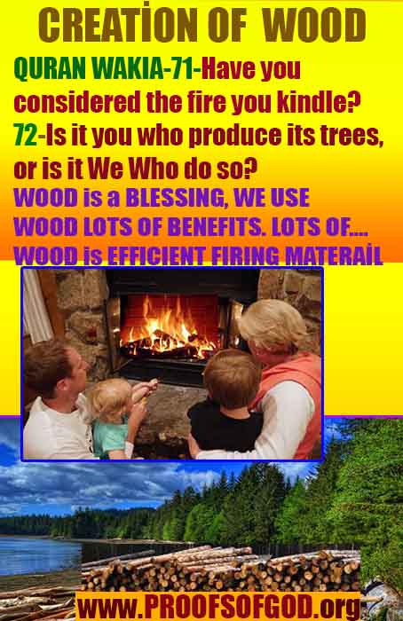 proofs of god, proofs-god, proofs god, evidences of god, evidences-god, god exists, god is real