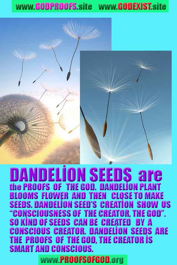 proofs of god, proofs-god, proofs god, evidences of god, evidences-god