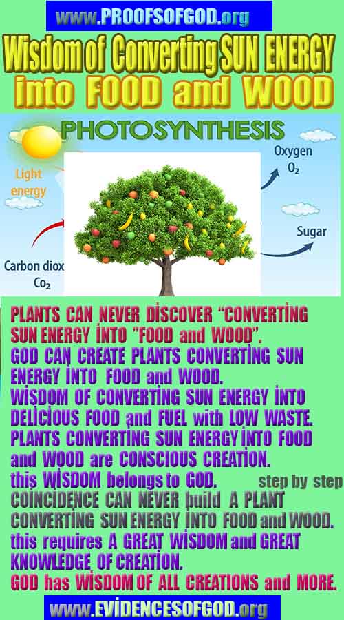 proofs of god, proofs-god, evidences of god, evidences-god, god exists proofs