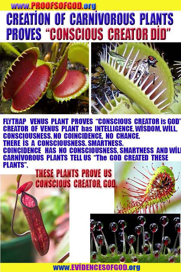 scientific proofs of god, proofs-god, evidences of god, evidences-god