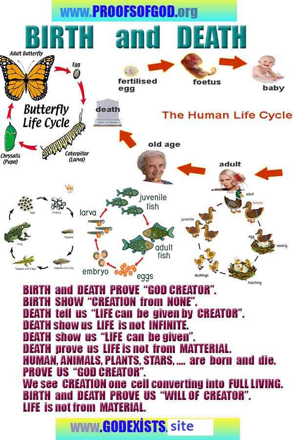 scientific proofs of god, proofs-god, evidences of god, evidences-god, god exists, god is real, signs of god